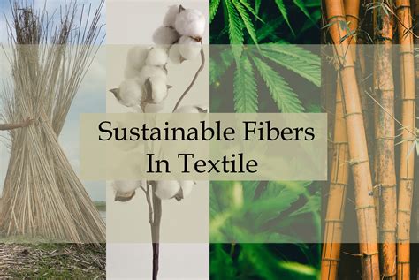  Quinoa Fiber: Exploring its Sustainable Potential for Eco-Conscious Textile Innovations!